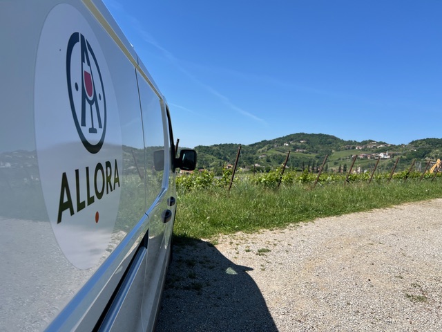 Allora — Wijn & Foodbar Geel, sfeerbeeld 8